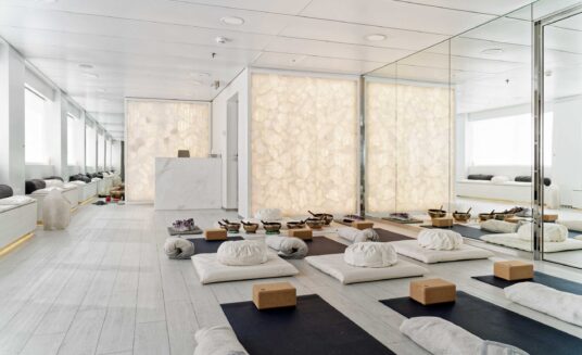 dampa sustainable ceiling applied in a white yoga studio featuring a crystal wall and a mirror wall one one side with a wall with windows and seating on the other side. in the middle of the room are many yoga mats, yoga blocks, towels and cushions.