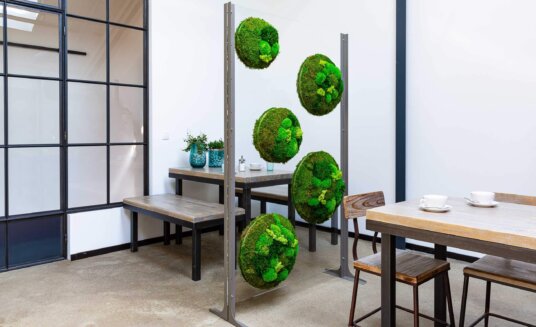 innovative screen design consisting of a glass panel wall featuring plants and moss